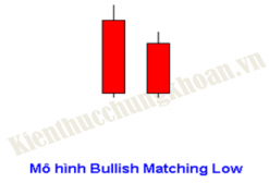Bài 4 :Tín hiệu tăng: Bullish Matching Low