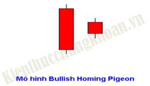Bài 5:Tín hiệu tăng: Bullish Homing Pigeon